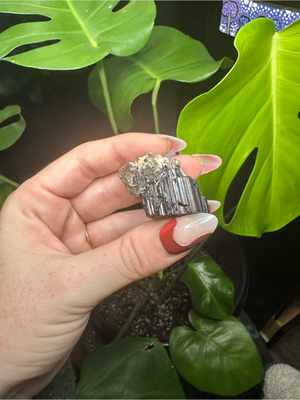 Raw Black Tourmaline and Smokey Quartz Crystal